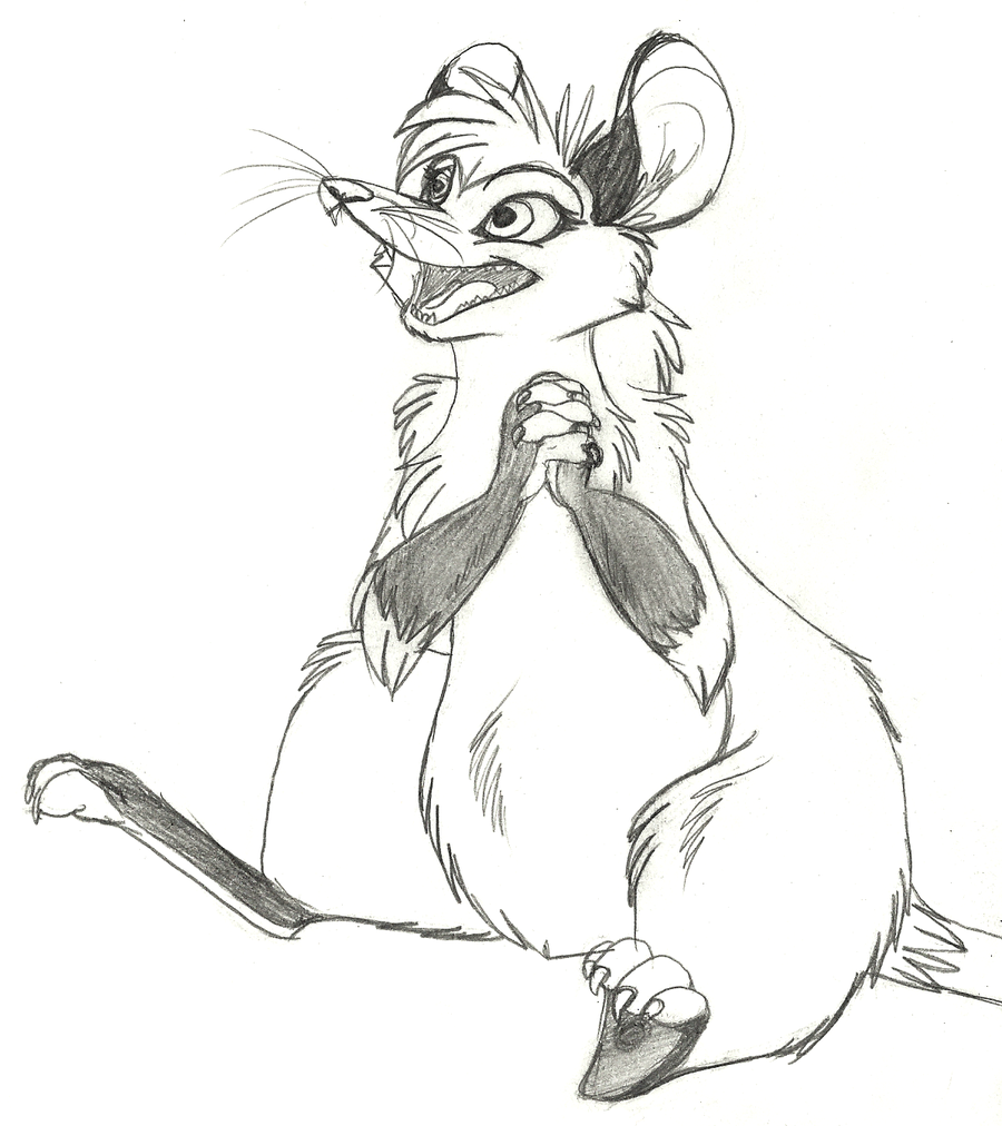 Opossum Drawing at GetDrawings | Free download