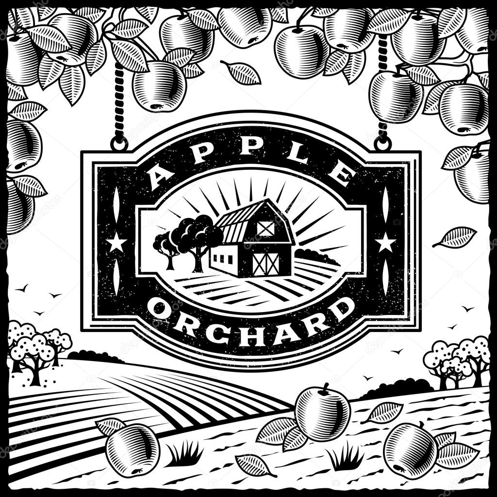 Orchard Drawing at GetDrawings Free download