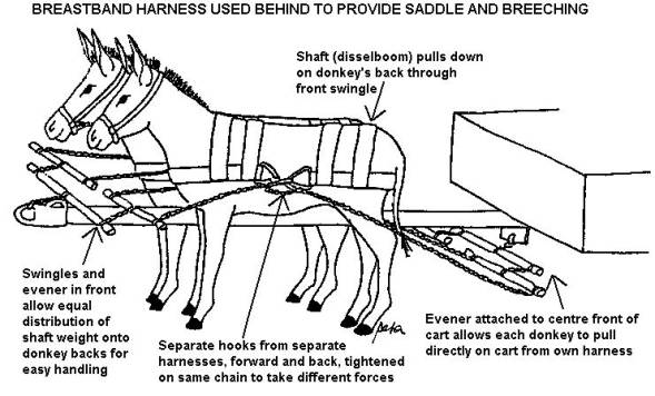 Horse Drawn Wagon Parts Diagram