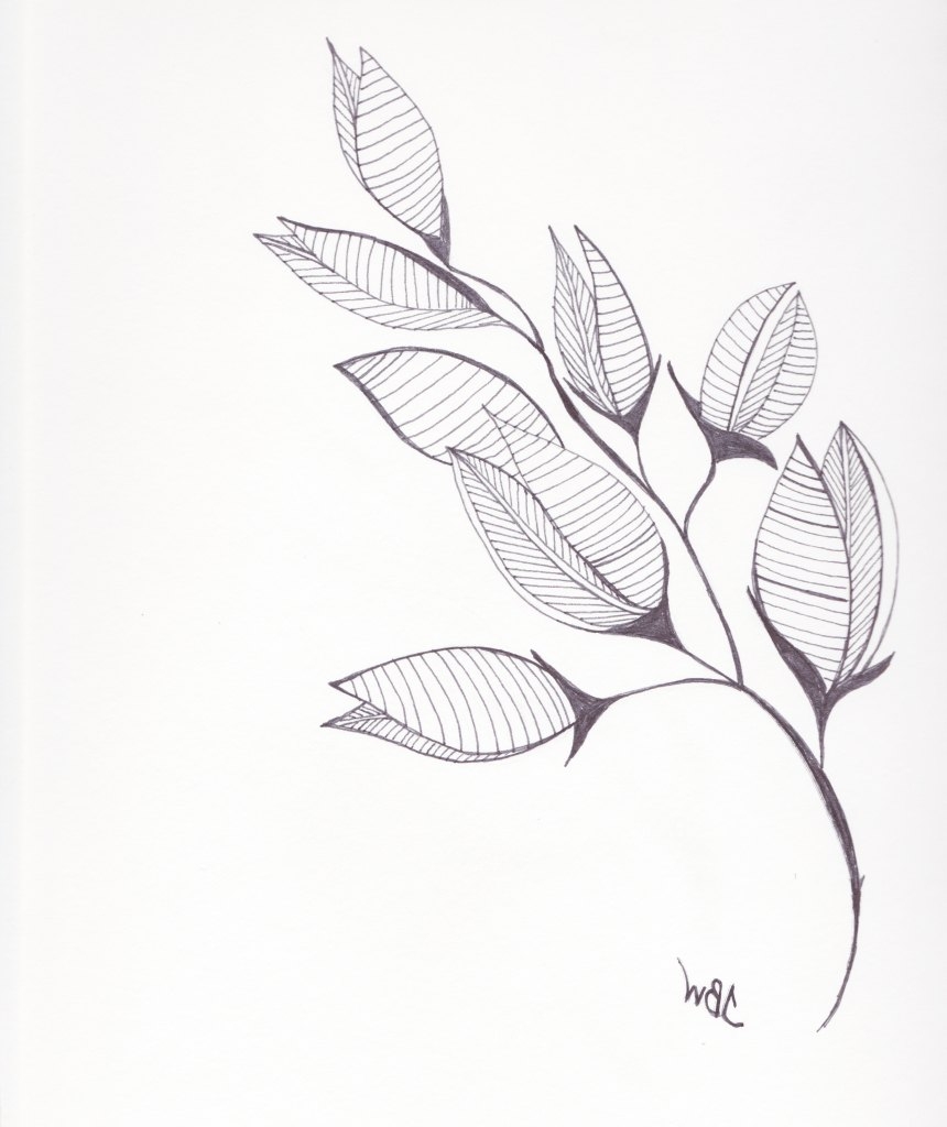 Organic Shapes Drawing at GetDrawings Free download