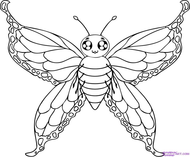 Outline Drawing Of A Butterfly at GetDrawings | Free download