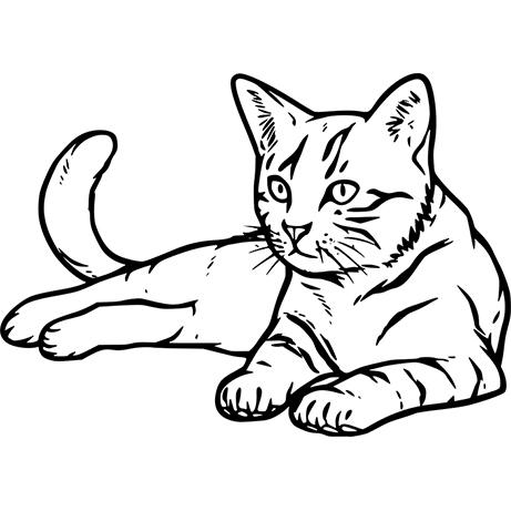 Cat Outline Drawing - The Best Original Gemstone