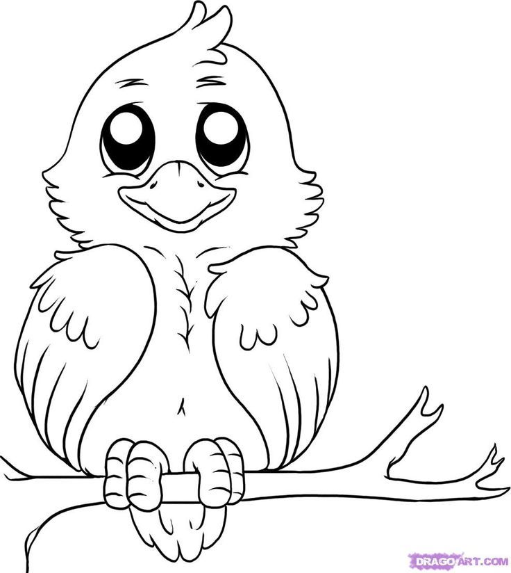 Outline Drawing Of Birds at GetDrawings | Free download