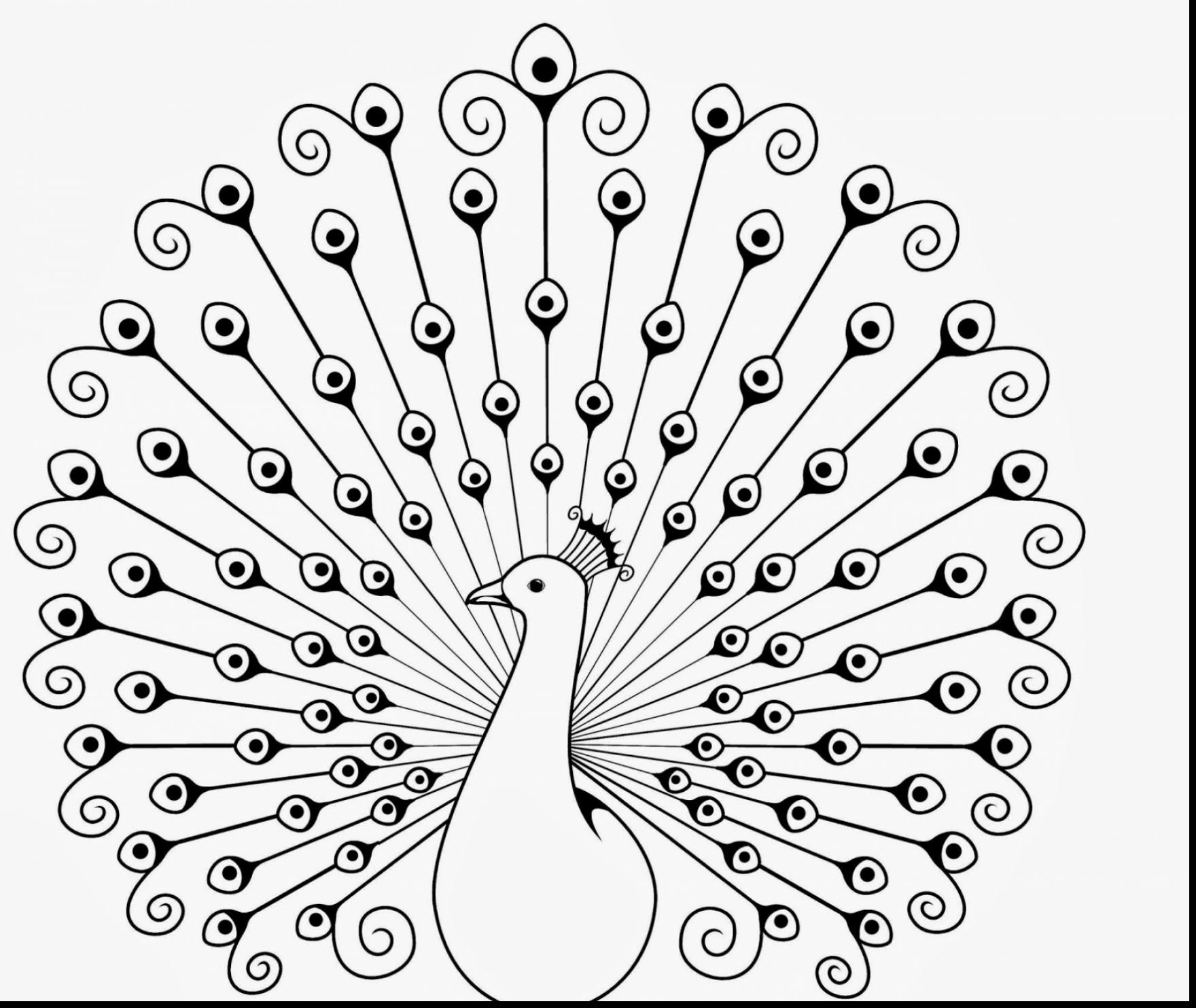 Outline Of A Peacock Drawing At GetDrawings Free Download