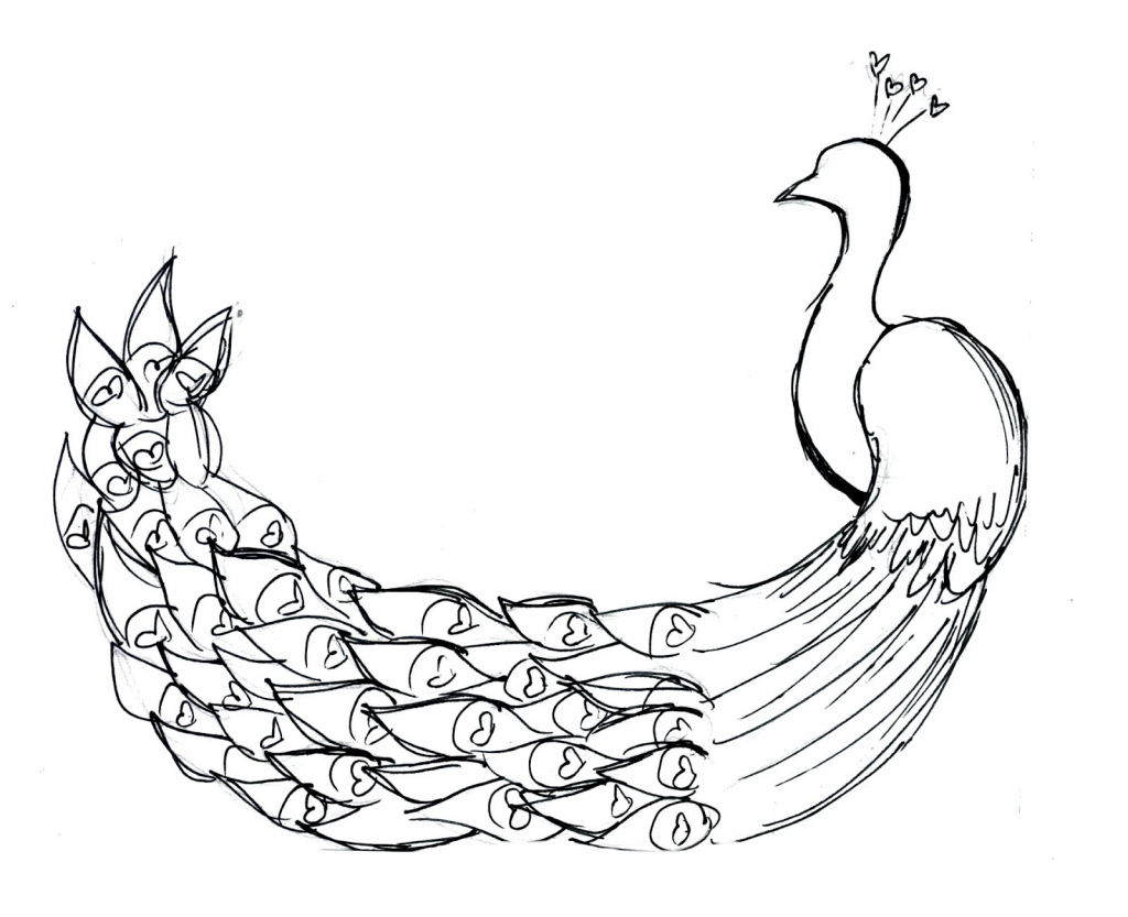 Outline Of A Peacock Drawing At Getdrawings Free Download 8499