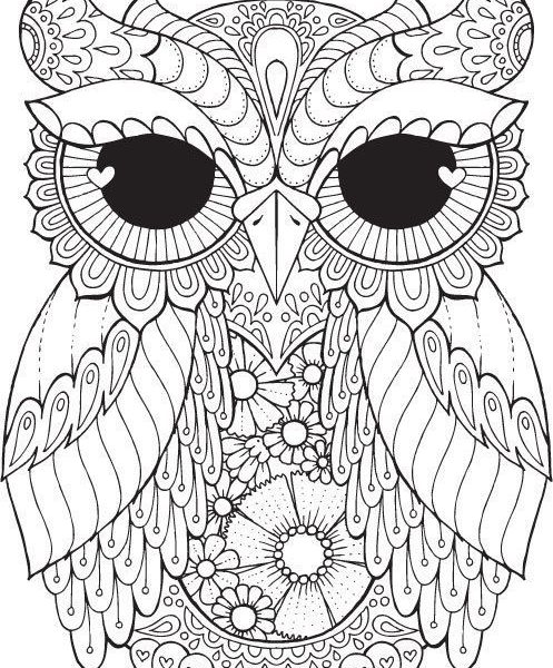 Owl Color Drawing At GetDrawings Free Download