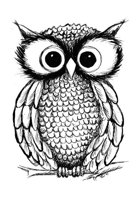 Owl Drawing Black And White at GetDrawings | Free download