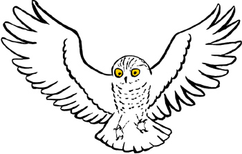 Owl Drawing Easy at GetDrawings | Free download