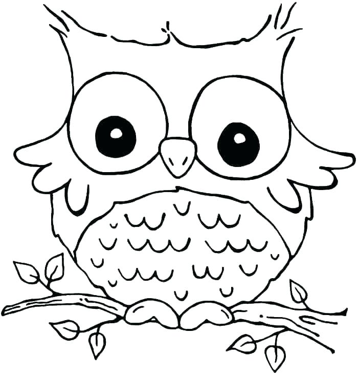 Owl Face Drawing at GetDrawings | Free download