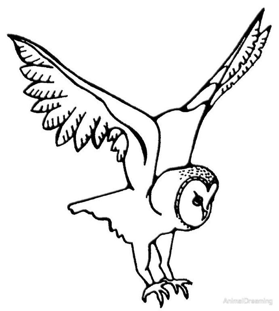 Owl In Flight Drawing at GetDrawings Free download