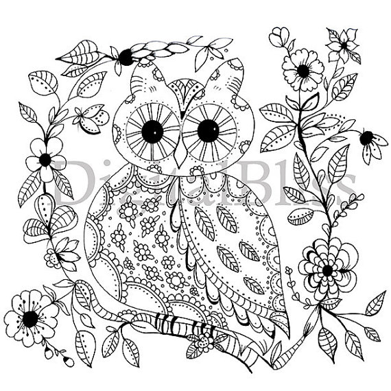 Owl Line Drawing at GetDrawings | Free download