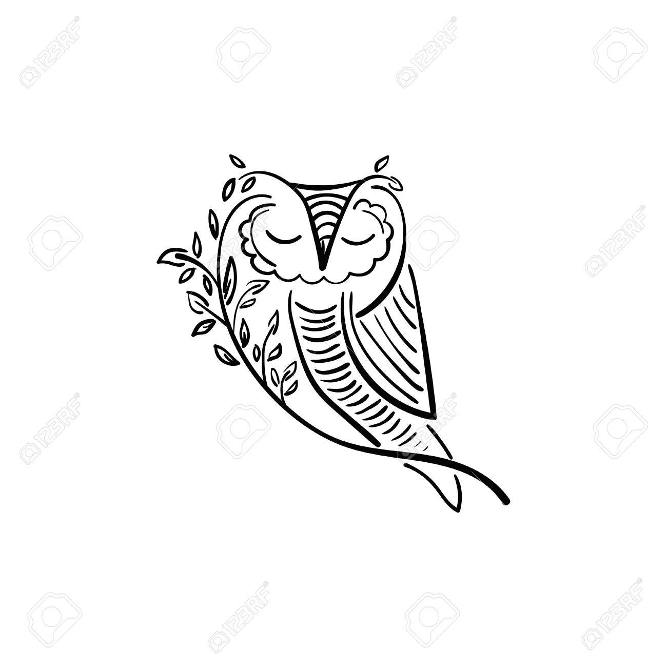 Owl On Branch Drawing at GetDrawings Free download