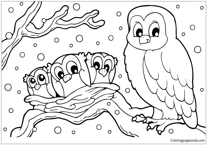 Owls Step By Step Drawing at GetDrawings | Free download
