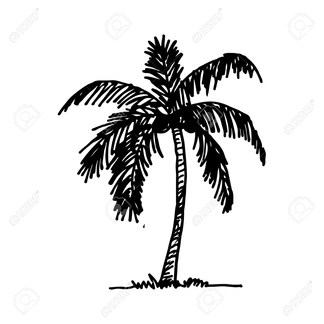 easy-palm-leaf-drawing-for-the-greater-column-photographs