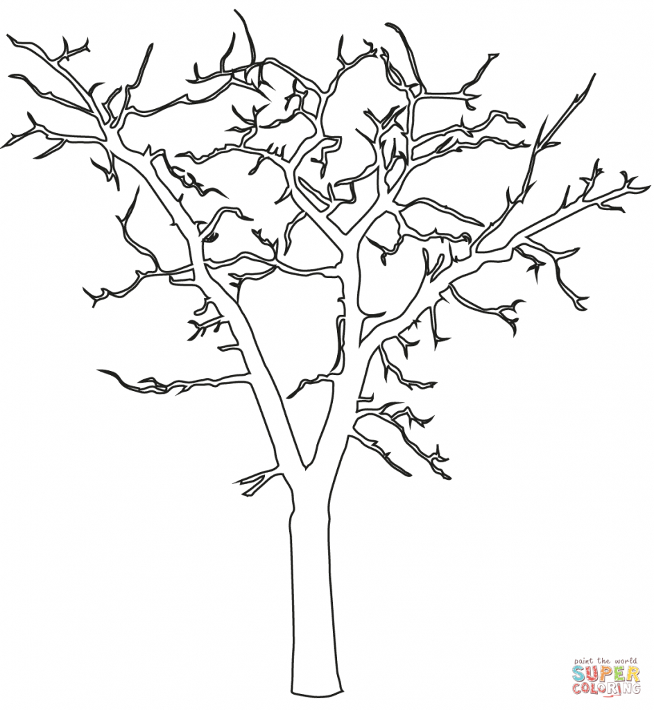 Palm Tree Drawing Outline at GetDrawings | Free download