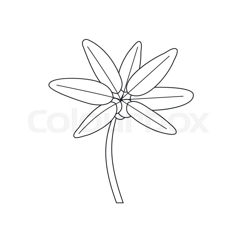 Palm Tree Drawing Outline at GetDrawings | Free download