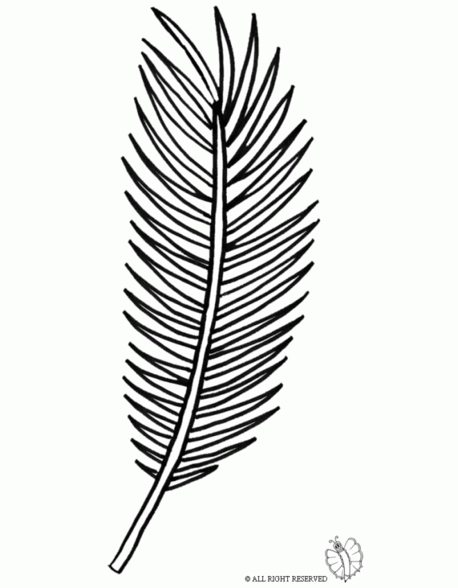 Palm Tree Leaf Drawing at GetDrawings | Free download