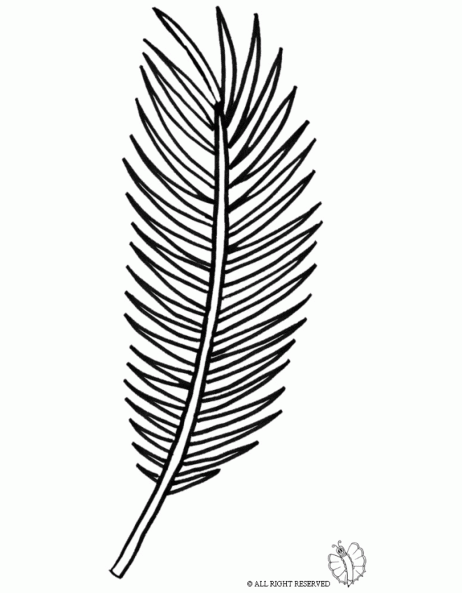Palm Tree Leaf Drawing At GetDrawings Free Download