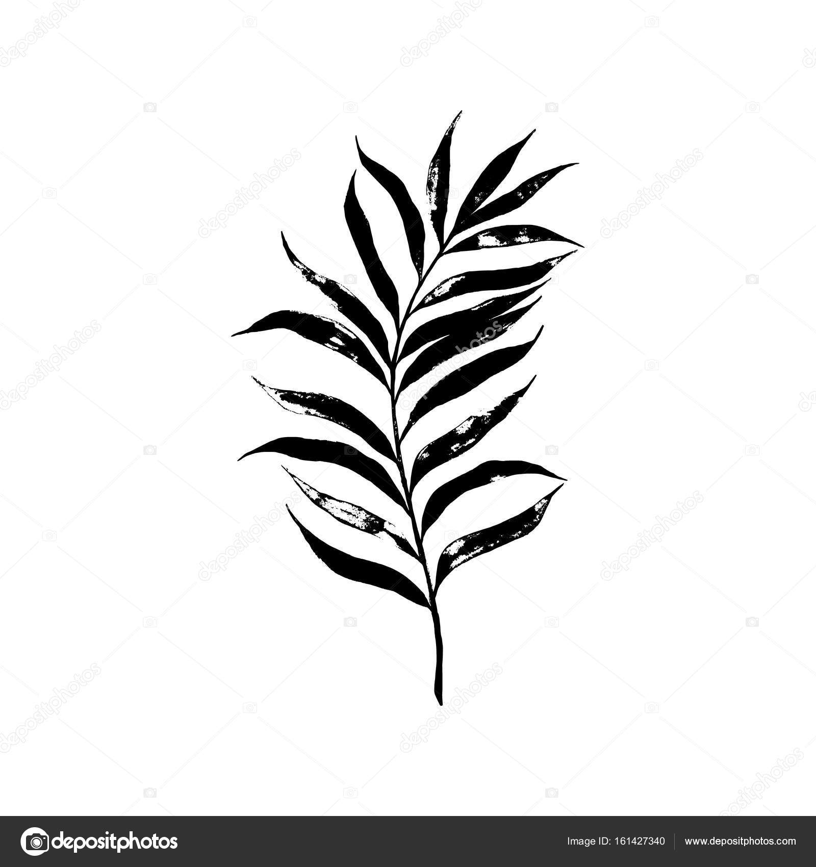 Palm Tree Leaf Drawing at GetDrawings | Free download