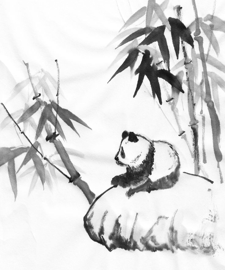 Panda With Bamboo Drawing at PaintingValley.com | Explore collection of