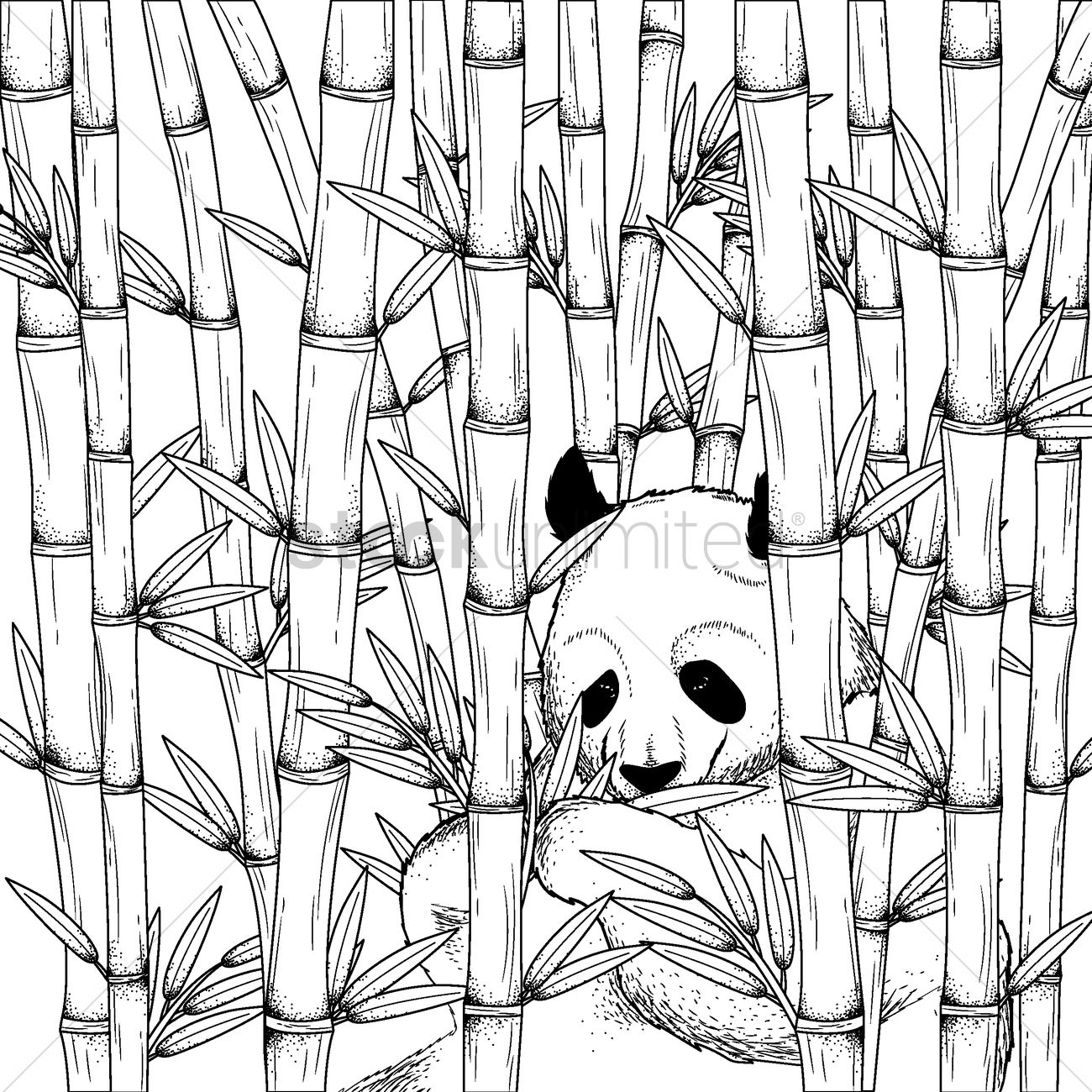 Panda With Bamboo Drawing at GetDrawings | Free download