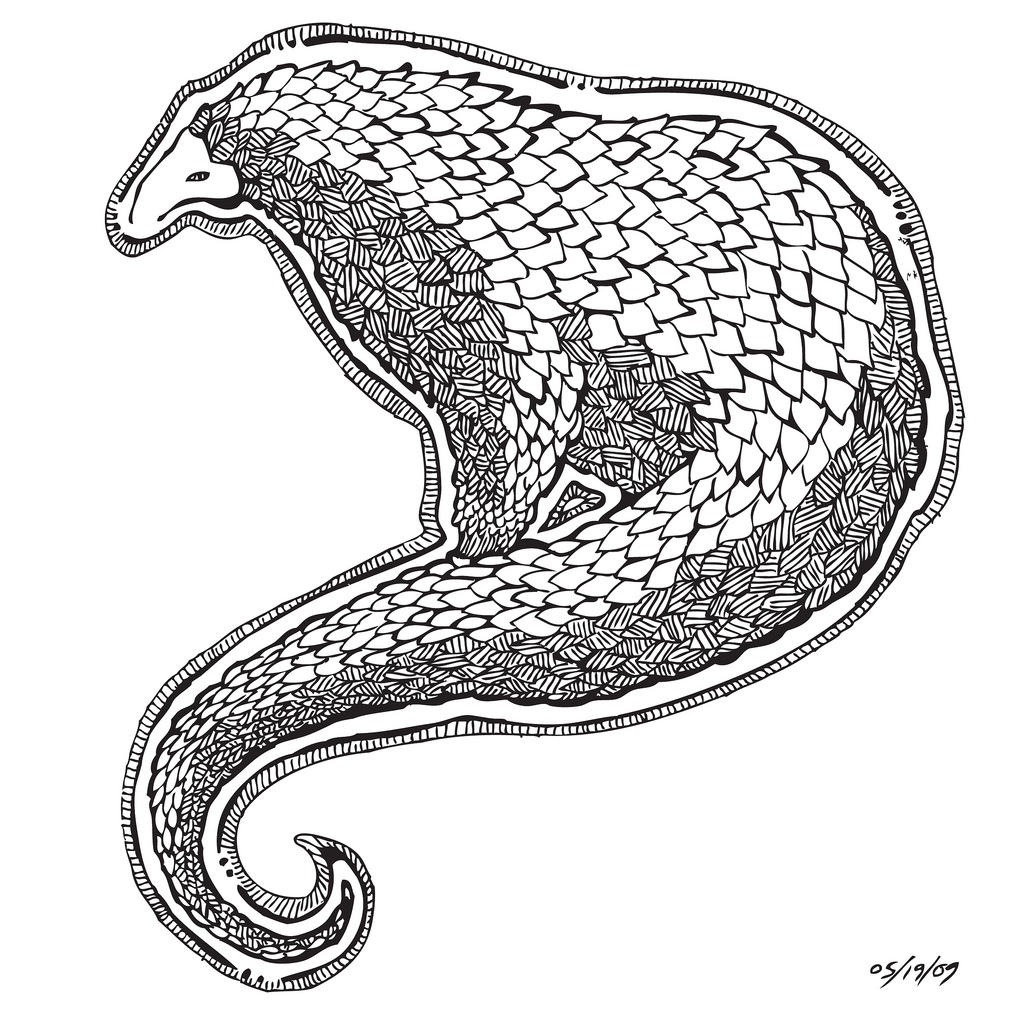 Pangolin Drawing at GetDrawings | Free download