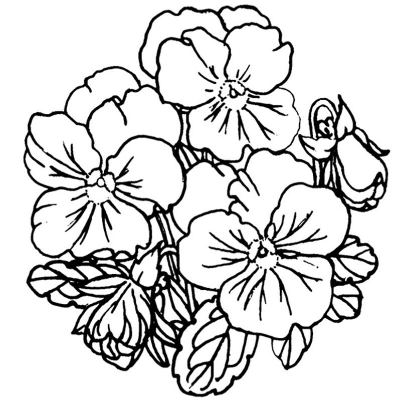 Pansy Line Drawing at GetDrawings Free download