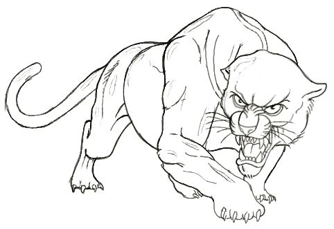 Panther Drawing at GetDrawings Free download