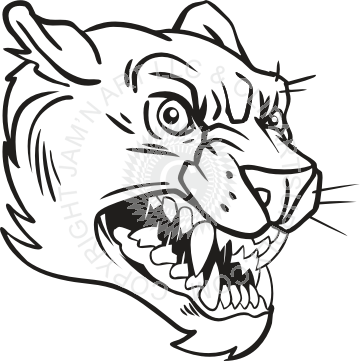 Panther Head Drawing at GetDrawings | Free download