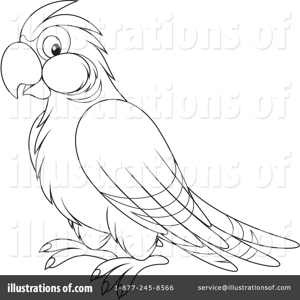 Parrot Line Drawing at GetDrawings | Free download