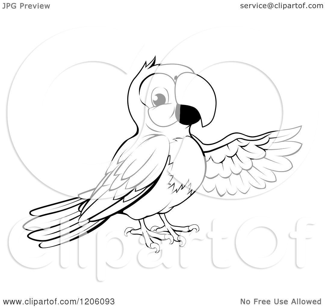 Parrot Line Drawing at GetDrawings | Free download