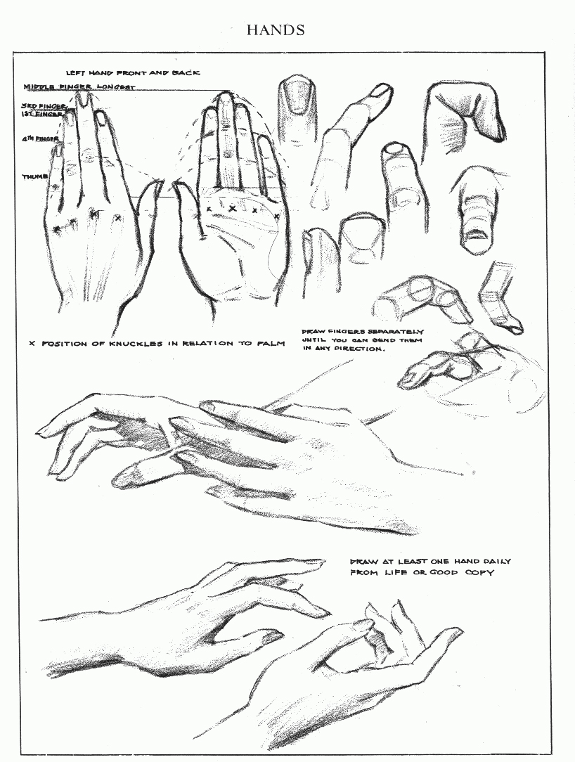 body parts in drawing