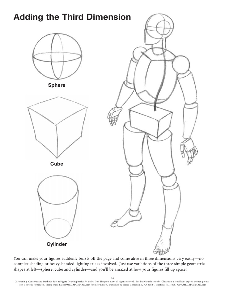 drawing anatomy shapes