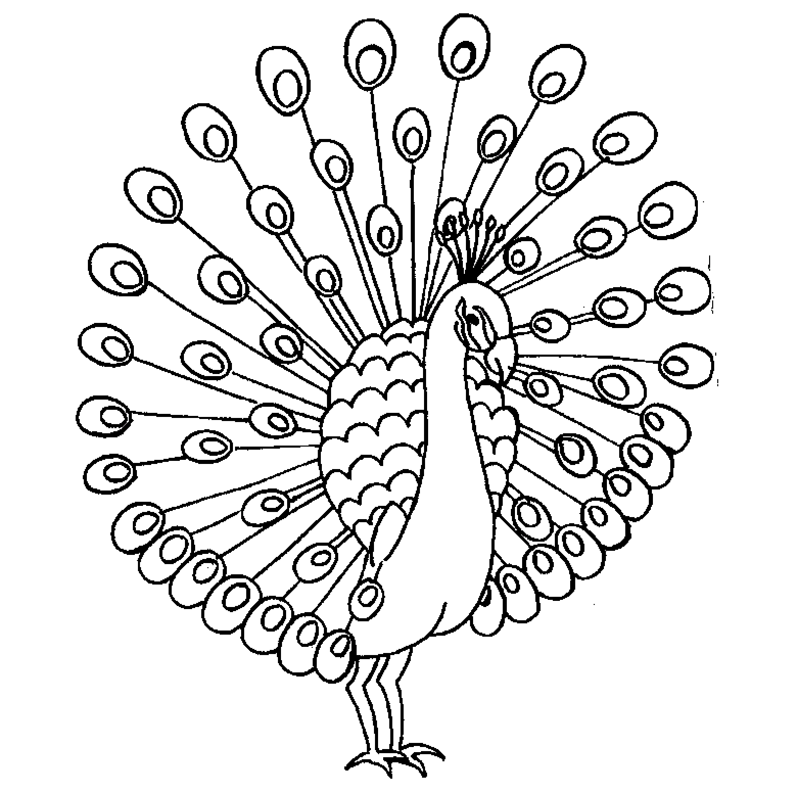 Peacock Drawing at GetDrawings | Free download