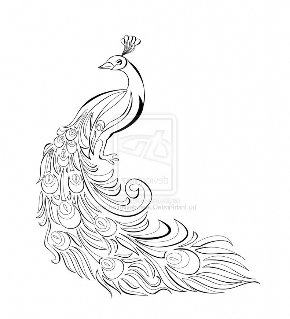 Peacock Drawing Black And White at GetDrawings | Free download