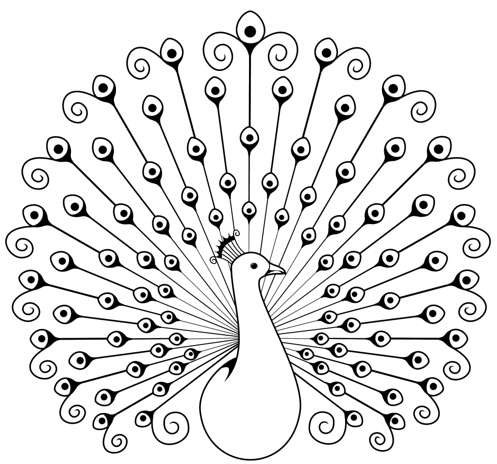 Peacock Drawing Designs at GetDrawings | Free download