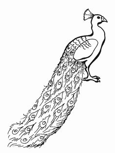 20+ New For Peacock Drawing Outline For Glass Painting | Tasya Baby