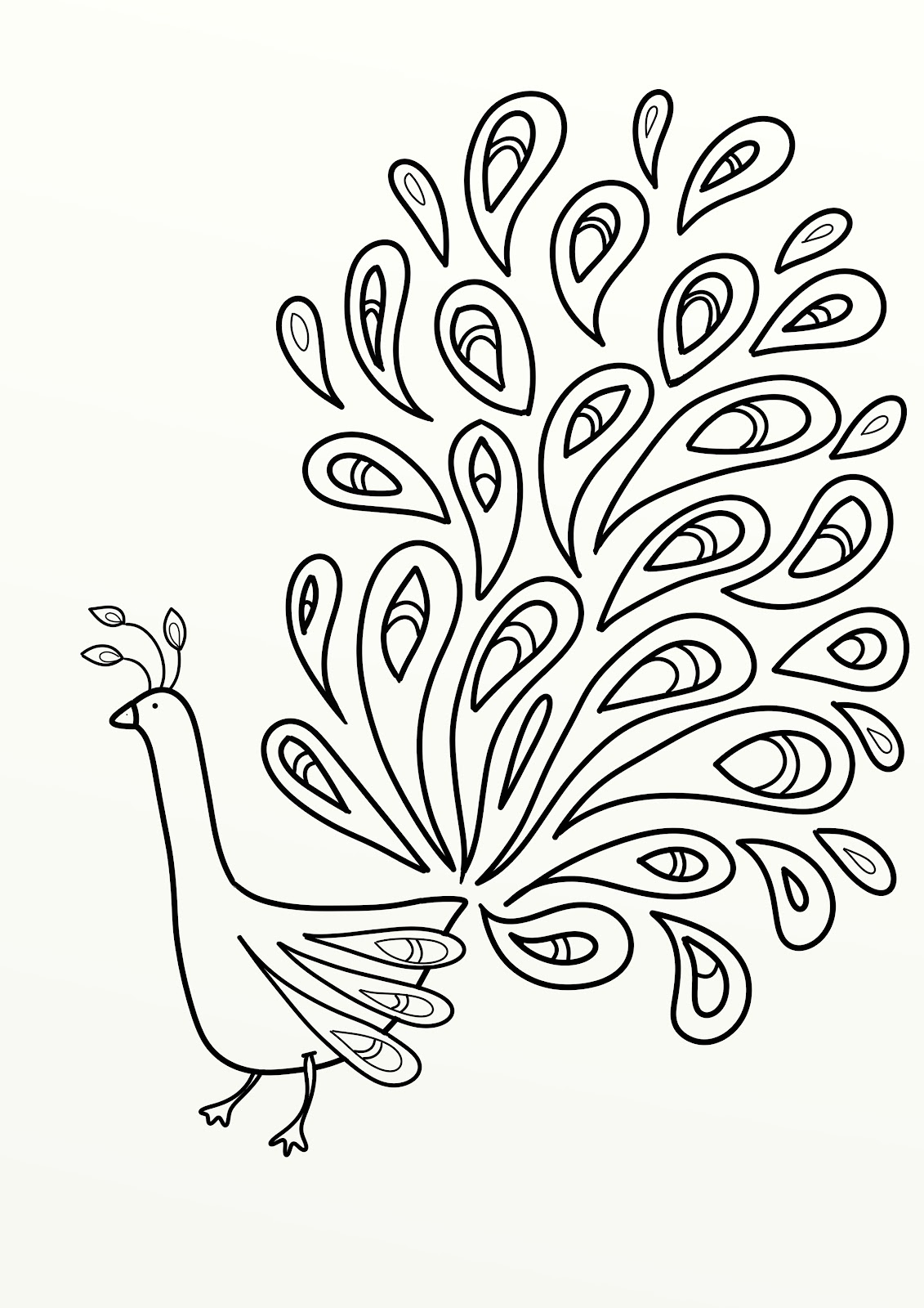 peacock-outline-drawing-at-getdrawings-free-download