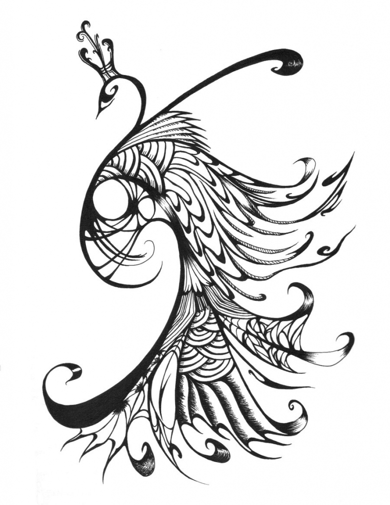 Peacock Outline Drawing At Getdrawings Free Download 1454