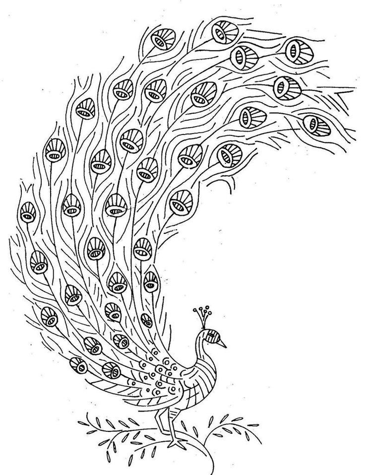 Featured image of post Pencil Drawing Images Of Peacock / Here you can explore hq peacock transparent illustrations, icons and clipart with filter setting like size, type, color etc.