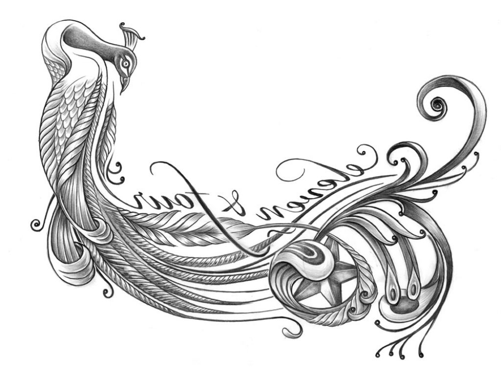 Peacock Tattoo Drawing at GetDrawings | Free download