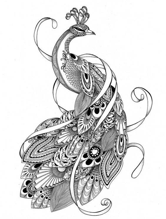 Peacock Tattoo Drawing at GetDrawings | Free download