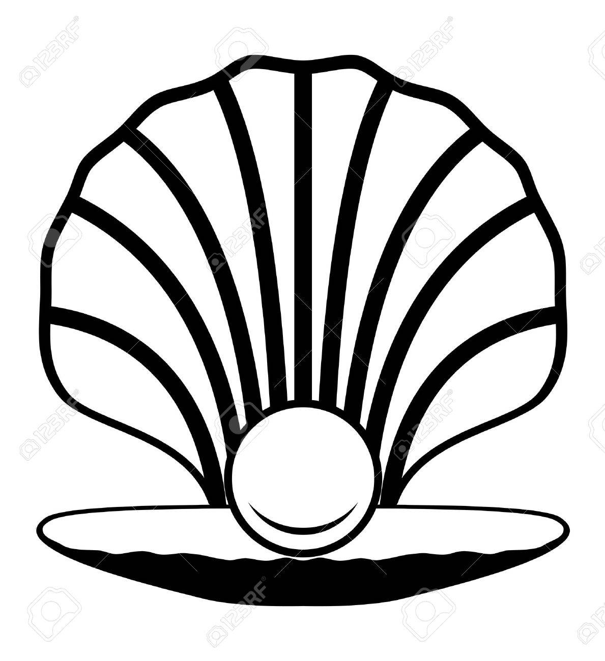 Pearl Shell Drawing at GetDrawings Free download