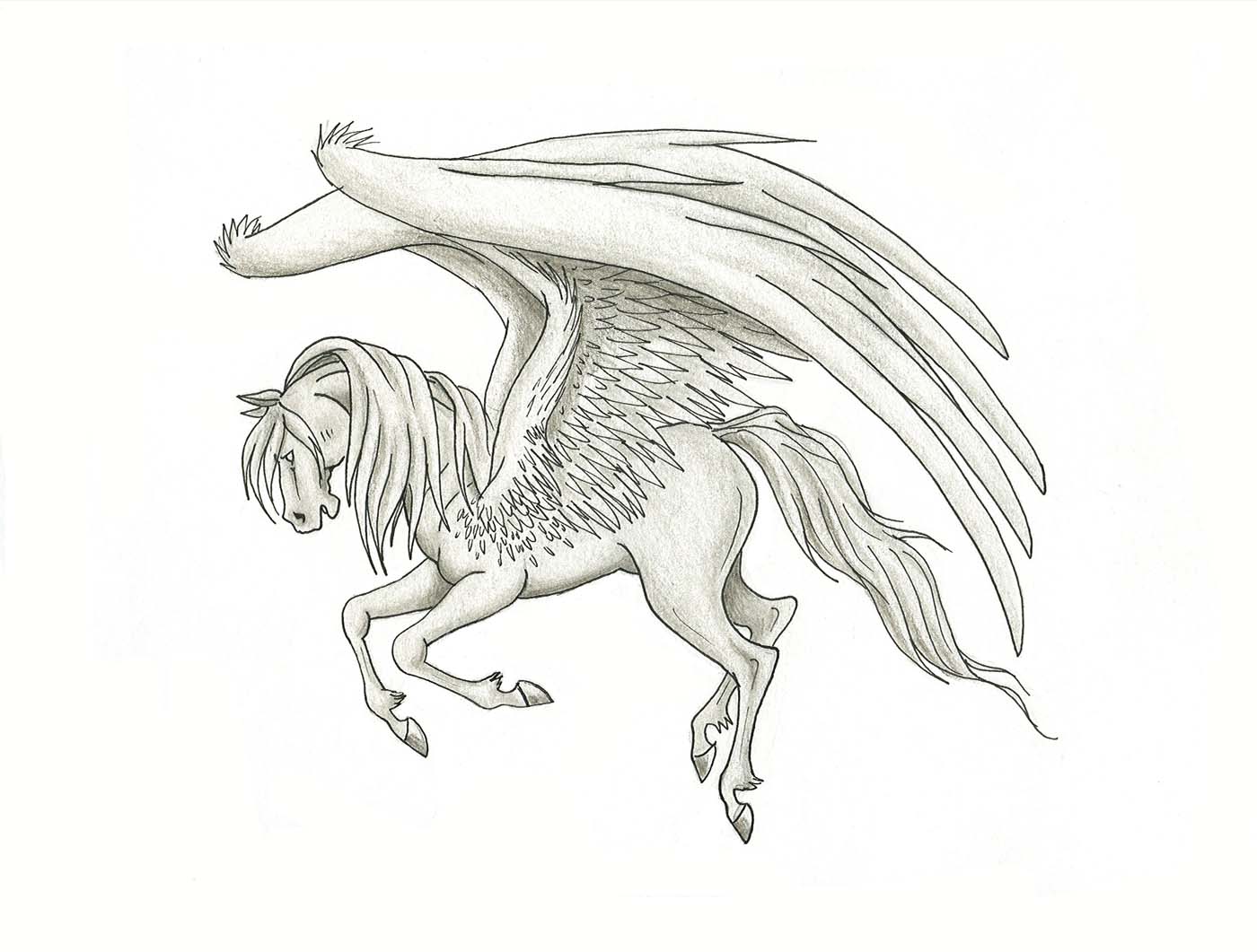 Pegasus Drawing At Getdrawings Free Download