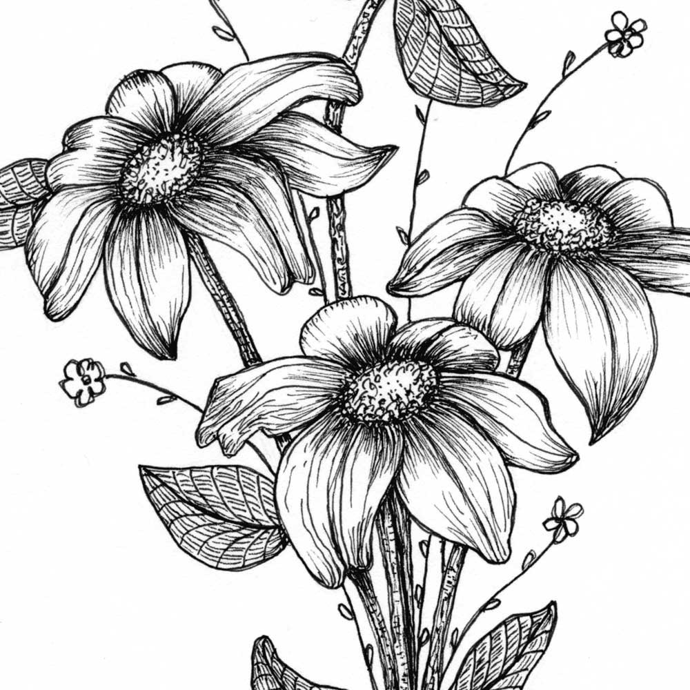 Pen Ink Drawing at GetDrawings Free download