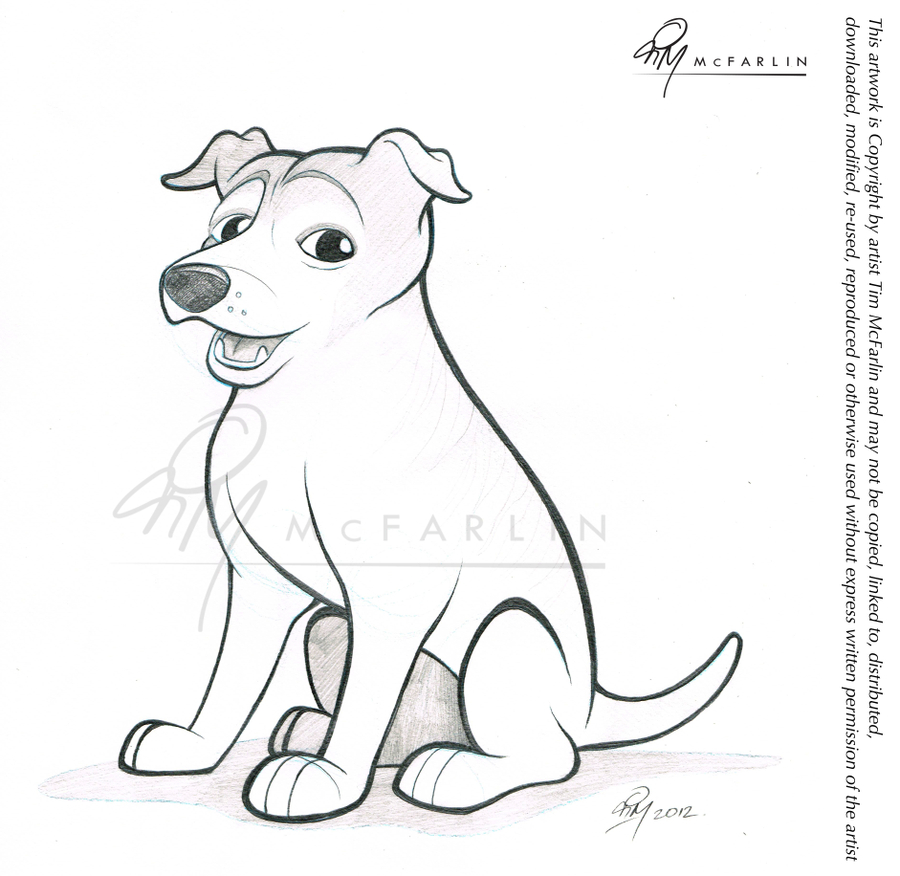 Featured image of post Pencil Drawing Images Dog - I probably only used 4 of the different.