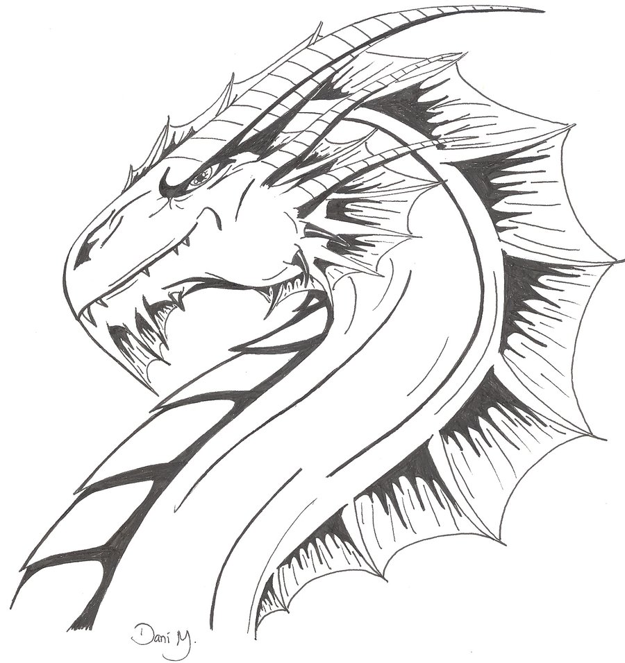 dragon outline