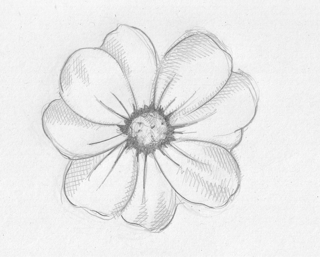 pencil drawing ideas flowers