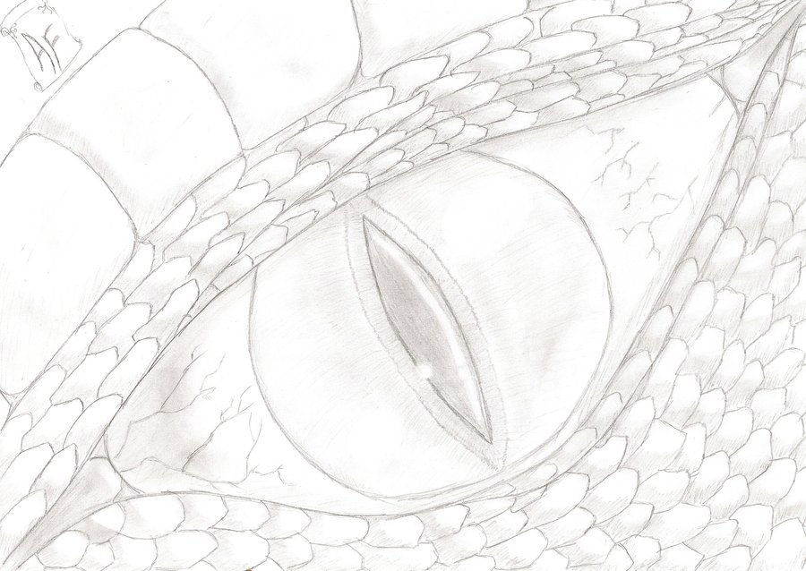 Pencil Drawing Of A Dragon at GetDrawings | Free download