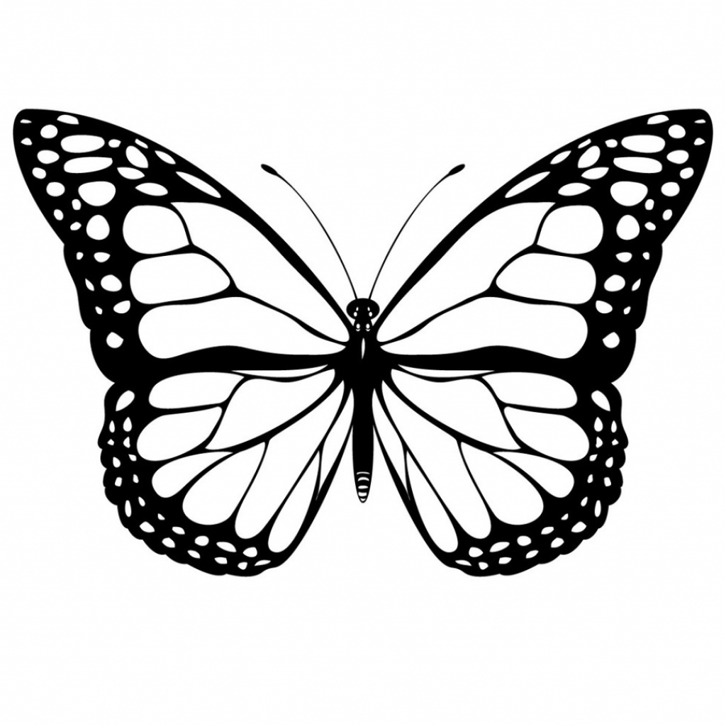 Pencil Drawing Of Butterfly at GetDrawings | Free download